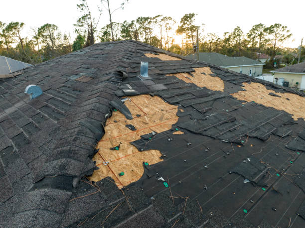 Best Roof Moss and Algae Removal  in Prince Frederick, MD